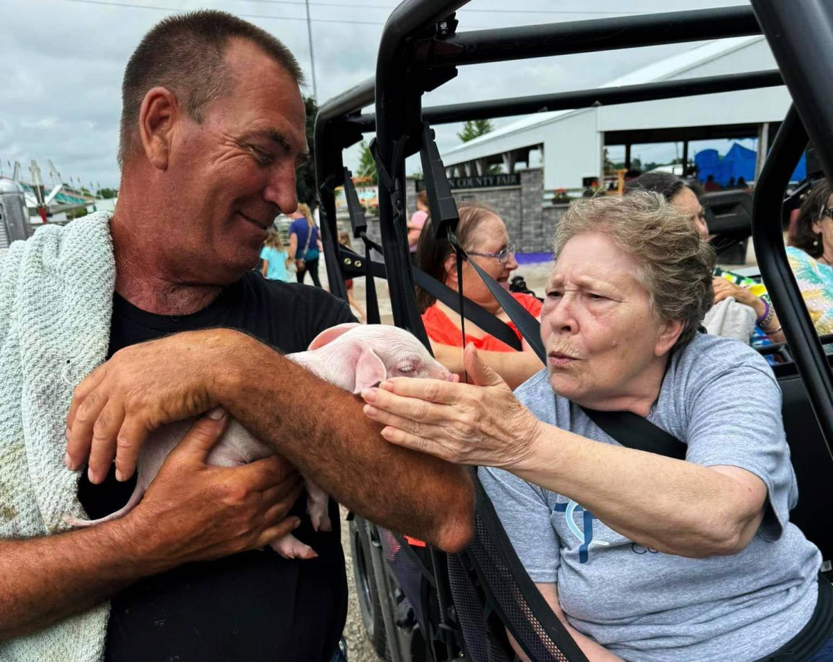 Alan Merchant holds a baby pig for Nancy Good to pet while at the Benton County Fair